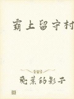 霸上留守村妇封面