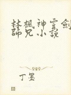 林枫神霄剑宗大师兄小说