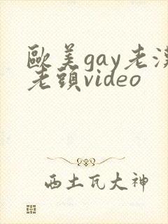 欧美gay老汉老头video