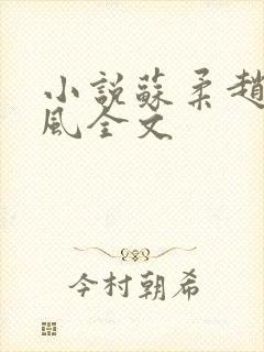 小说苏柔赵刚林风全文