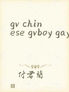 gv chinese gvboy gay tube封面
