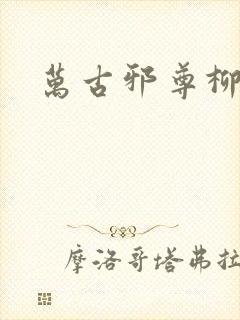 万古邪尊柳无邪