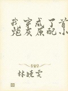 我穿成了首辅的炮灰原配小说