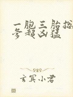 一胞三胎总裁爹爹超凶猛