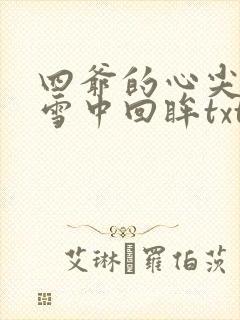 四爷的心尖宠妃雪中回眸txt下载