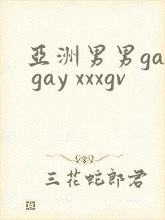 亚洲男男gay gay xxxgv