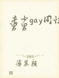 老少gay同性男男