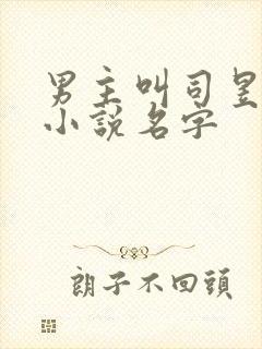 男主叫司昱恒的小说名字