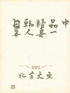 日韩精品中文字幕人妻一封面