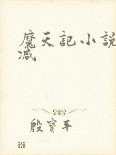 魔天记小说无删减封面