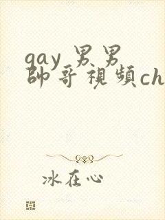gay 男男 帅哥视频chinese
