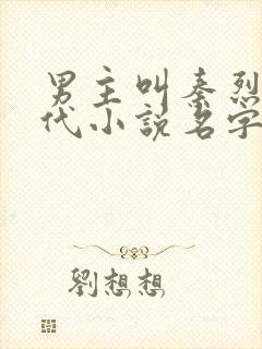 男主叫秦烈的现代小说名字