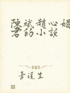 陈斌赵心媚高婉君的小说