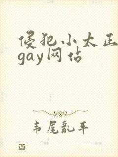 侵犯小太正裸体gay网站