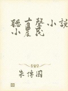 听有声小说至尊小农民