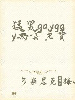 猛男gaygay无套免费