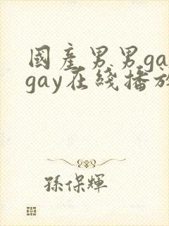 国产男男gaygay在线播放