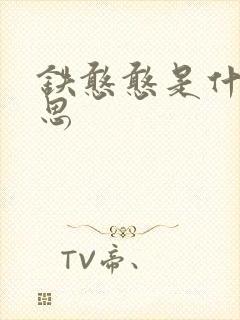 铁憨憨是什么意思封面