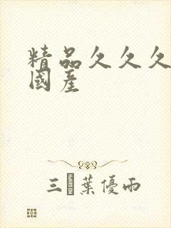 精品久久久久久国产