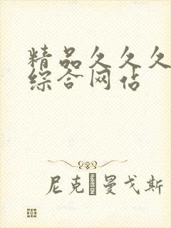 精品久久久国产综合网站