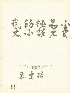 我的极品小姨全文小说免费阅读封面