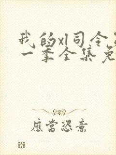 我的xl司令第一季全集免费播放封面