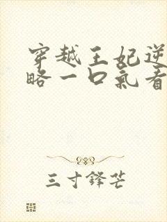 穿越王妃逆袭攻略一口气看完