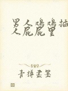 男人鸡鸡插入女人屁屁里