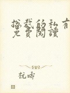 总裁的私有宝贝免费阅读