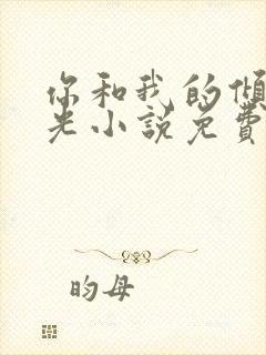 你和我的倾城时光小说免费全集封面