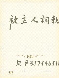 被主人调教1v1封面