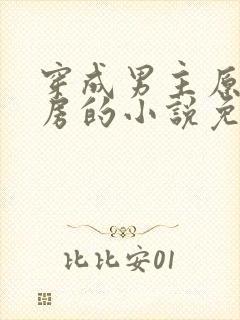 穿成男主原配陪房的小说免费阅读