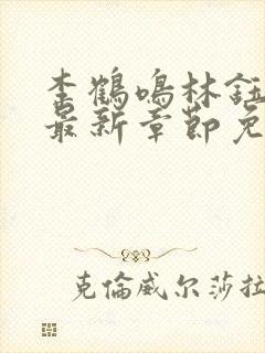 李鹤鸣林钰小说最新章节免费阅读