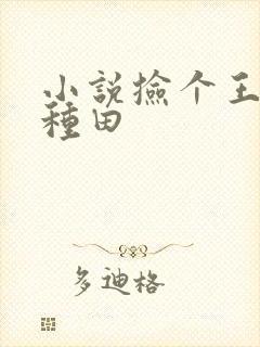 小说捡个王爷来种田