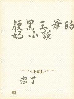 腹黑王爷的呆萌妃 小说