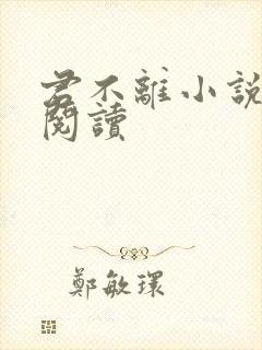 君不离小说免费阅读