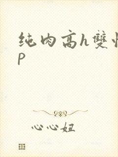 纯肉高h双性np