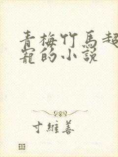 青梅竹马超甜超宠的小说封面