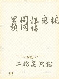 男同性恋搞基视频网站