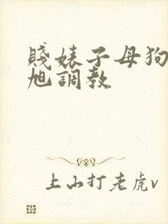 贱婊子母狗王晓旭调教