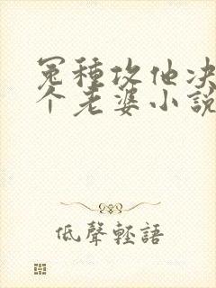 冤种攻他决定换个老婆小说免费阅读