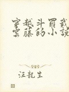 穿越斗罗武魂摩云藤的小说