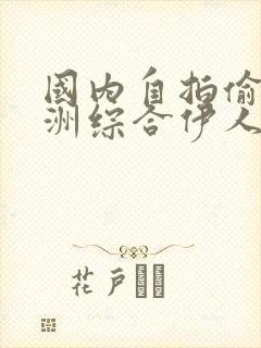 国内自拍偷区亚洲综合伊人