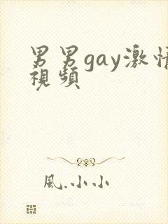 男男gay激情视频封面