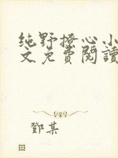 纯野撩心小说全文免费阅读