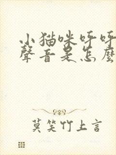 小猫咪呼呼呼的声音是怎么了