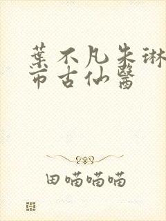 叶不凡朱琳琳都市古仙医