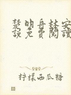 楚明舟林安安小说免费阅读无弹窗封面