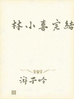 林小喜完结小说