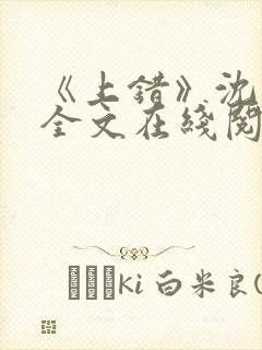 《上错》沈南初全文在线阅读笔趣阁